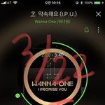 [강다니엘] 녤니