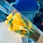 [BTOB] ㅅㄷ) 봄이라