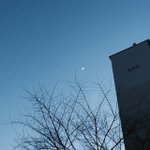 [드루와] 나만 미적분 조카 재밌냐