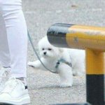 [댓글부탁해] 얘들아 졸업사진 찍을때 <b>쌍테</b>ㅊㅂ좀