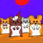 [댓글부탁해] 햄스터 <b>난이</b>도 쉬워?
