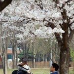 [드루와] 문화누리카드 쓰는 애들아 꿀팁알려줌