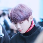 [박우진] 우진시에 올리는 미친거같은 <b>포도</b> 출국 고화질들