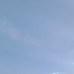 나 우리<b>학년</b>중에서 여자 9등인데