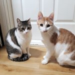 [쁘니단비] 쁘니단비 <b>동시다발</b> 꾹꾹이~^^