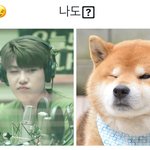 [박우진] ㅅㅣ바견 ㅠㅠㅠㅠ바구진 ㅠㅠ황구 ㅠㅠ