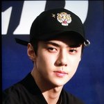 [EXO] 이 <b>모자</b> 링만 없었으면 예뻤을텐데