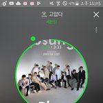 [세븐틴] 오늘 <b>스케줄</b> 뭘까....