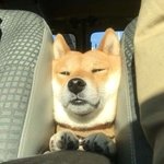 잠이안<b>오네</b>