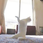 [드루와] 아니 우리반 <b>반티</b>정하는데