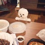 [댓글부탁해] 애들아 나 알바<b>첫날</b>인데 급해!!