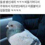 얘들아 <b>논문</b> 주제 하나만 던져주라..