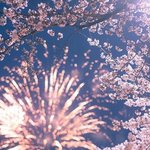 [댓글부탁해] 나 얘 좋아하는 거임..?ㅃㄹ