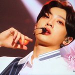 [드루와] 덕질한지 300일정도면 어느정도임?
