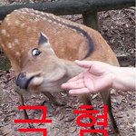 [개깊은빡침] ㅂㅌ 외모 어그로글 그만좀쓰자