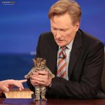[19] 입던 속바지 팔았는데