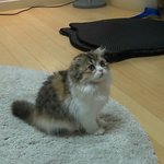 [댓글부탁해] 대학<b>학과</b>에 따라서 애들성격도 달라요?