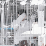 [EXO] 고양이 좋아하는넘들 들어와<b>보</b><b>셈</b>