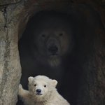 아니 계속 <b>환기</b>시키는데어캄;;