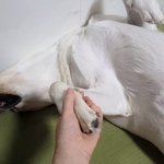 쿠팡에서 6만원<b>어치</b> 결제했는데