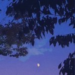 천안<b>아산</b> 사는 사람