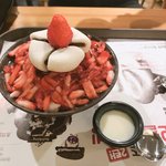 <b>설빙</b> 왔당