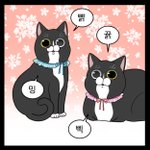 체육복 사이즈 뭐 <b>사야</b>돼..