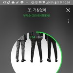 [세븐틴] 고맙다 스밍