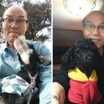 [입양강아지] 입양 강아지 통해 깨달은 '5가지 좋은 생각'