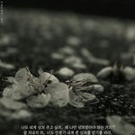 짝<b>남</b><b>선배</b>랑 페메 하는데 도와줘