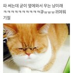 핸드폰케이스 <b>배송</b> 빠른곳 추천 좀 제발..