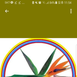 [EXO] 나 두개 합쳐진 <b>혼종</b>되어버렸음