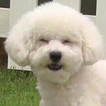 [드루와] <b>무쌍</b> 눈화장 팁좀