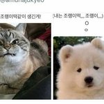 [조언부탁해] 얘들아 제발 <b>일자</b>바지 고르는 팁즘ㅠㅠㅠ