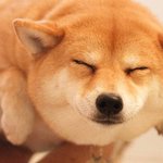 [조언부탁해] 아직도 친구관계 힘든애 나밖에 없음?