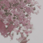 [댓글부탁해] 친구가 부모님한테 <b>돈</b>갖다주고 죽었어(실화<b>x</b>)