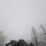 [EXO] 오늘 <b>미세</b>먼지 개심각볼