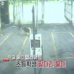 개<b>빠들</b>이 왜노답인지 아냐???