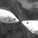 [19] 팬티보여도 아무말도 안했음좋겠음