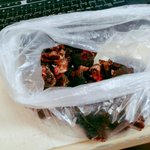 무화과 말<b>랭</b>이 묵을 사람?