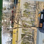 <b>kt</b> m  모바일에 가입을 했기때문에~~~