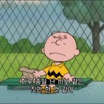 [드루와] 우리 반만 정확한 <b>무리</b> 없냐