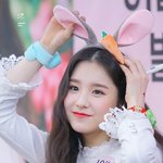 [드루와] 나만 아직도 적응 못함? ㅠㅠ