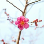 [꼭봐주세요] 4월의 봄바람을 타고 온 '신천지에 빠진 사람들'의...