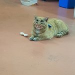 [19] ¿¿ 나 코치님이랑 묘한일 있었음