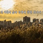 윈스턴 처칠의 삶과 인생에 관한 15가지 명언