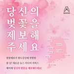 벚꽃사진 올리고 팔도비빔면, 초코파이, 코카콜라 등 벚꽃 에디션...