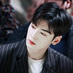 사진 보는데 개-안