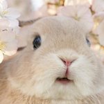 [댓글부탁해] 너네 살면서 생겼으면 하는 물건 뭐있어 ???