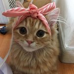 [댓글부탁해] 귀 뚫은 <b>야들</b>아 ㅠㅠ